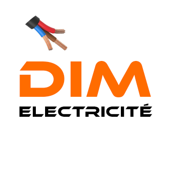 LOGO Dim Electricité